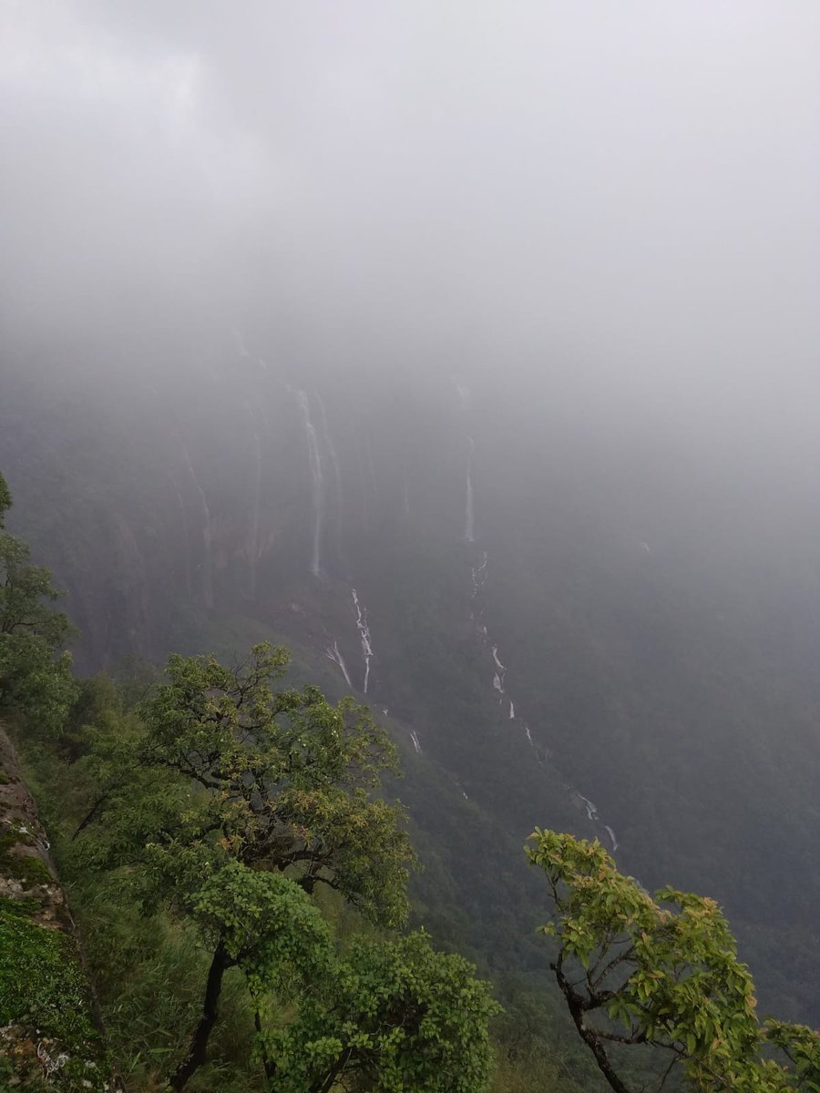 Mystery in the Misty hills !

#Cherrapunji 
#Meghalaya
#NorthEast 

(From last year)