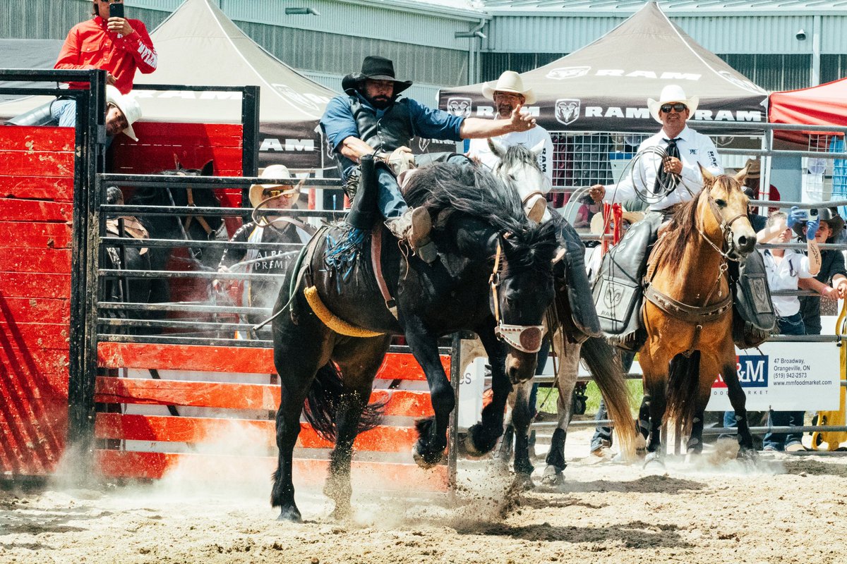 CharityMatheson's tweet photo. I spent the day at the @RamRodeoSeries in Mono. Had an amazing time. Shot over 880 photos managed to get it down to 191 kept.
#ram #ramrodeo #rodeo #horses #Cowboys #orangeville #ontario #canada https://t.co/A9806sPaF7
