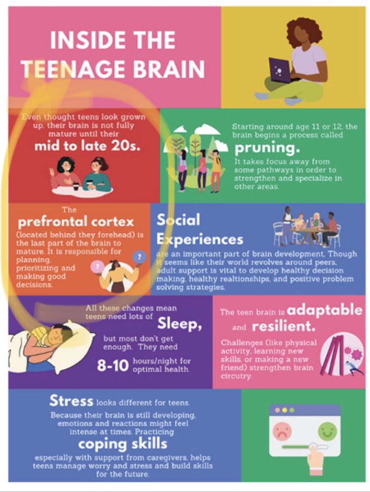 SE Cornerstone Board in Saskatchewan put out the “Teenage Brain” poster attached.
They KNOW a child’s brain is NOT developed to pick their gender, let alone deal with sexual content in elementary age CHILDREN.
The grooming has got to stop.
#OKGroomer #EnoughIsEnough ⬇️