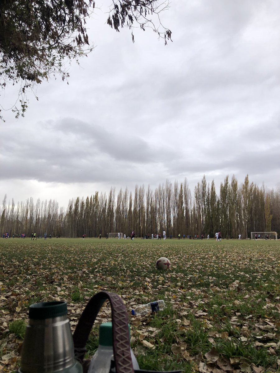 tomamos mates y vamos a ver partidos?
