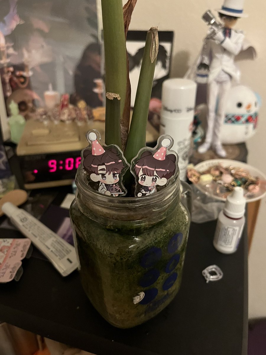 Hehe my spod cake toppers protecting my plant