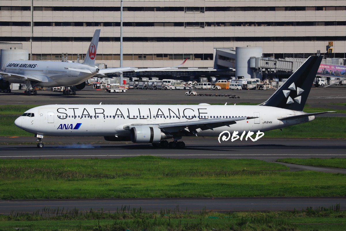 All Nippon Airways Boeing 767 40th anniversary.