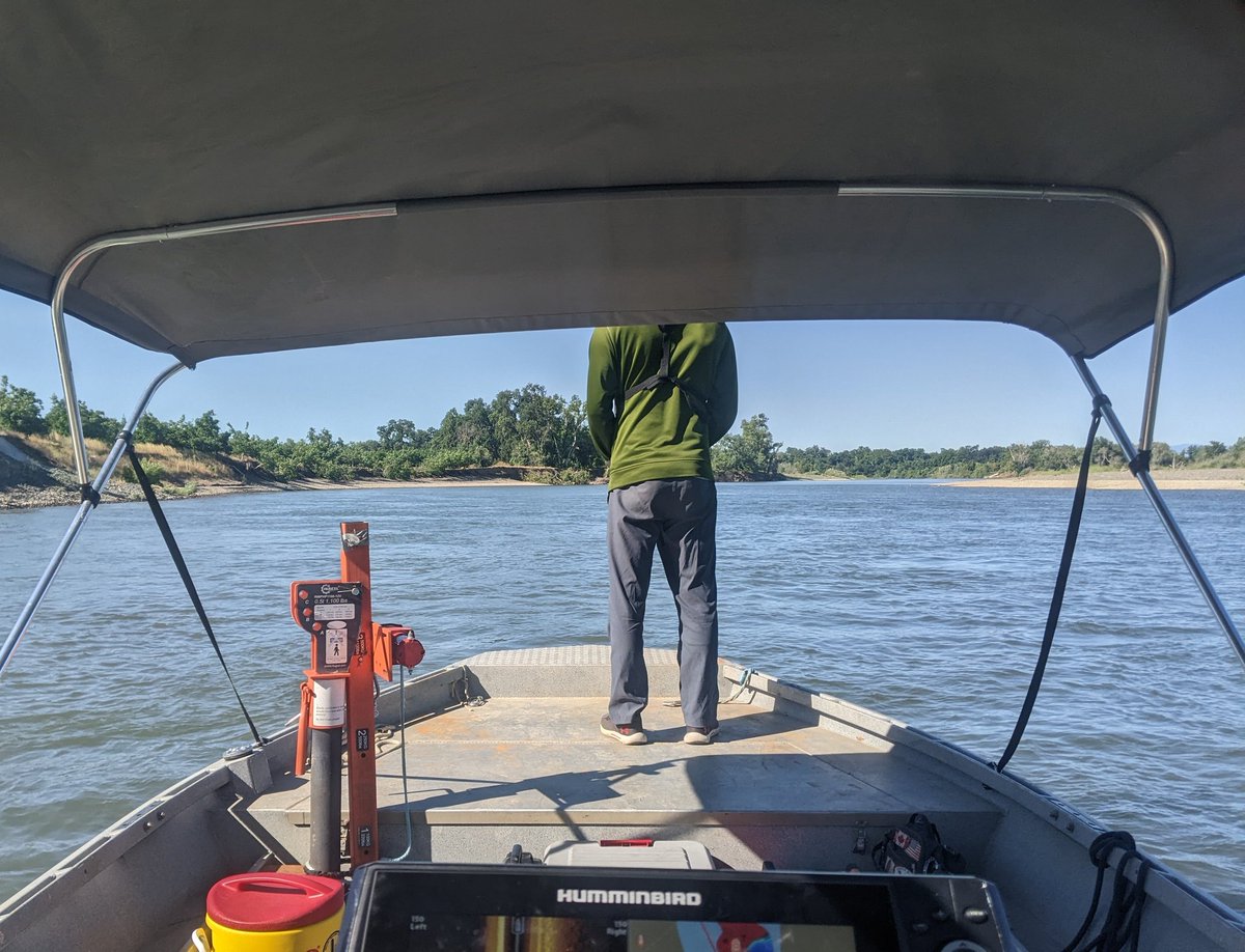 It was so cold today, Brian spent some time thermoregulating on the sunny bow.