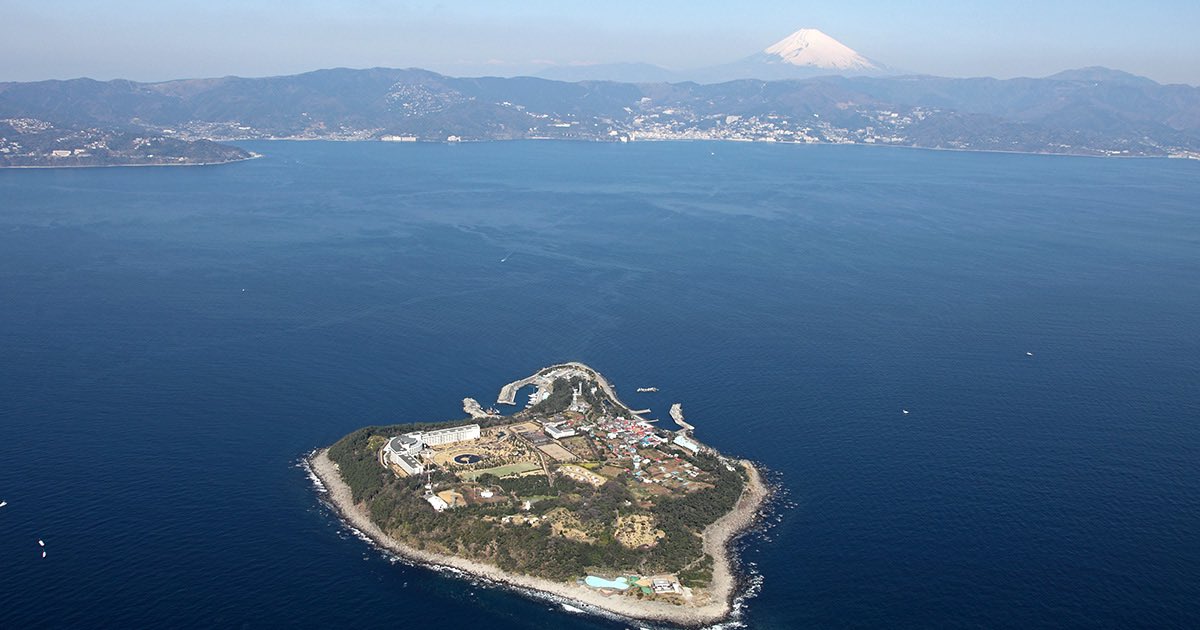 なんだか蒸し暑いです💦

来月初島に旅行行かなければならないので、それらの準備でバタバタです💦

台風来なければいいなぁ🙏

#初島