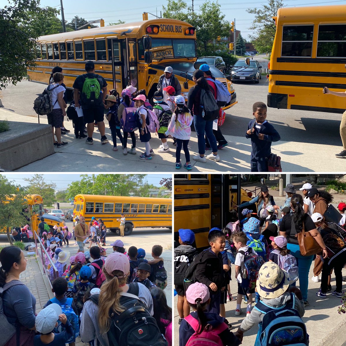 Great start to the week as ELP classes headed to Riverdale Farm🐓🐐 <a href="/StLawrenceTCDSB/">@StLawrenceCSTCDSB</a> @TCDSB_PAguiar