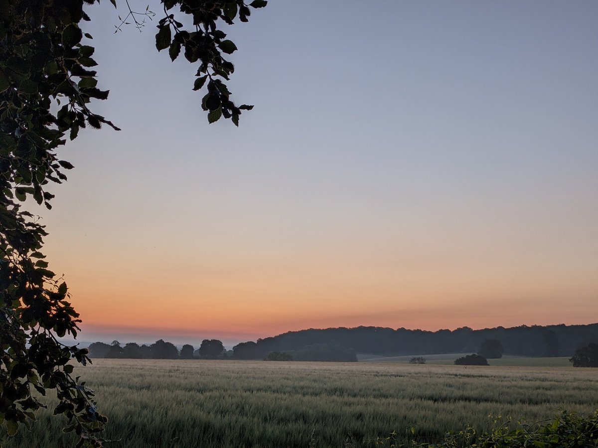 Riëtte Thomas tweet media