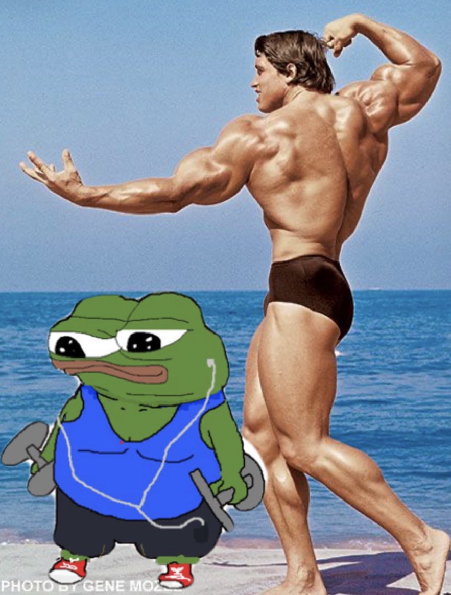 @coingecko @FB_WSB $PEPE