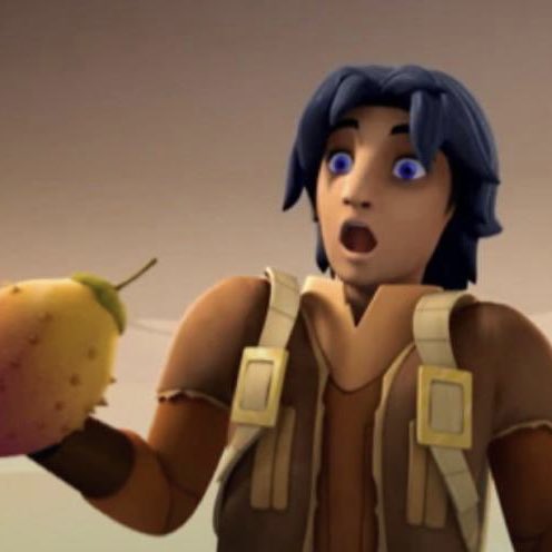 #StarWarsRebels 

You’re an idiot.                      I’m your idiot