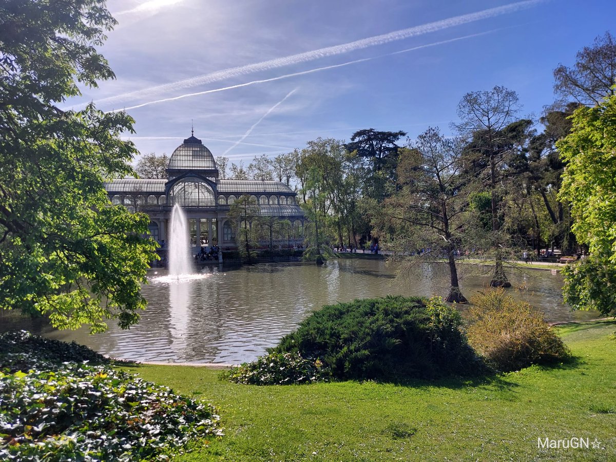 'La honestidad es el primer capítulo del libro de la sabiduría'.
Thomas Jefferson
@_ElRetiro #ElRetiro #Madrid #fotografía #naturaleza #NaturePhotography #nature #photograghy #GardenersWorld #gardens #honestidad #Honesty #ThomasJefferson