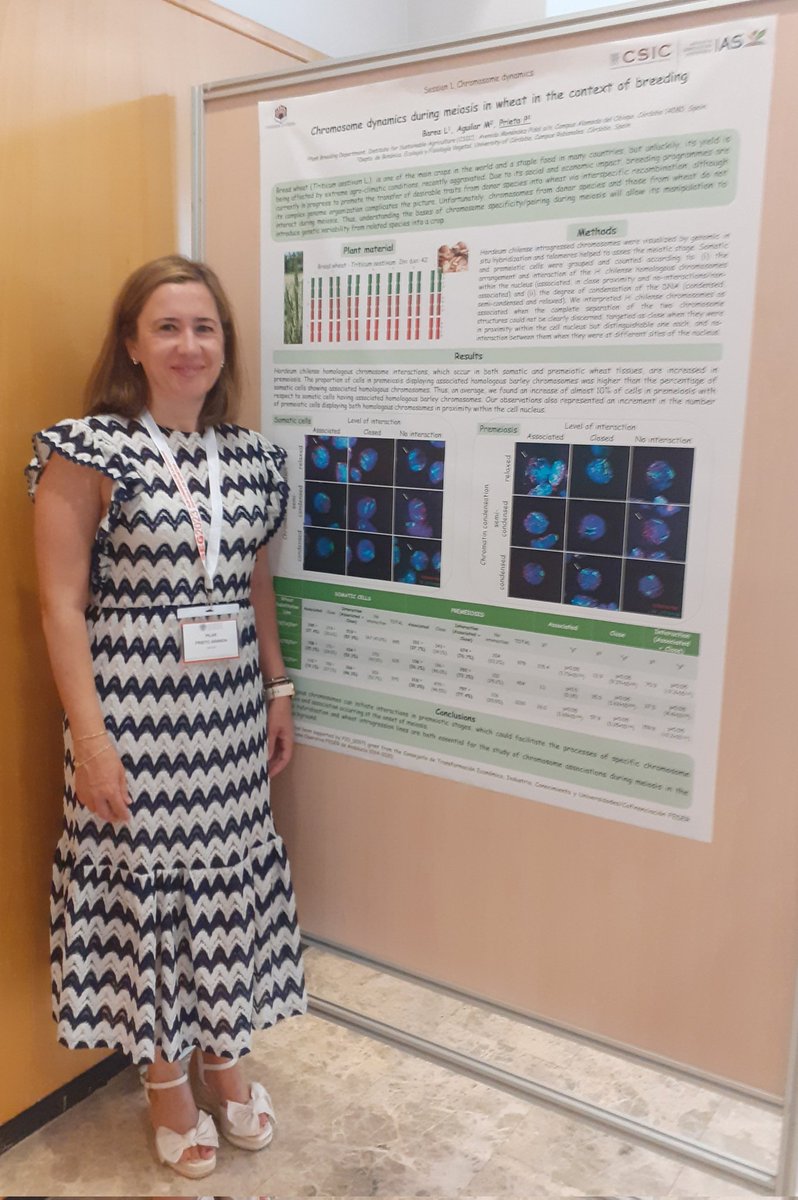 Pilar Prieto tweet media