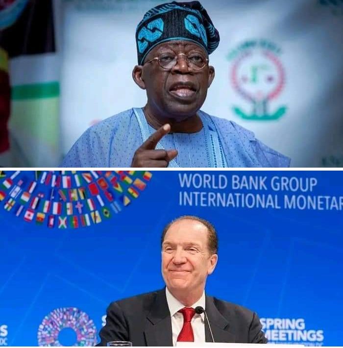 cubeappHQ's tweet image. BREAKING: Former World Bank President, David Malpass commends Tinubu's economic decisions

Former World Bank President, David Malpass has commended President Tinubu's economic decisions since he assumed office on May 29 through a tweet on his verified Twitter handle 👇