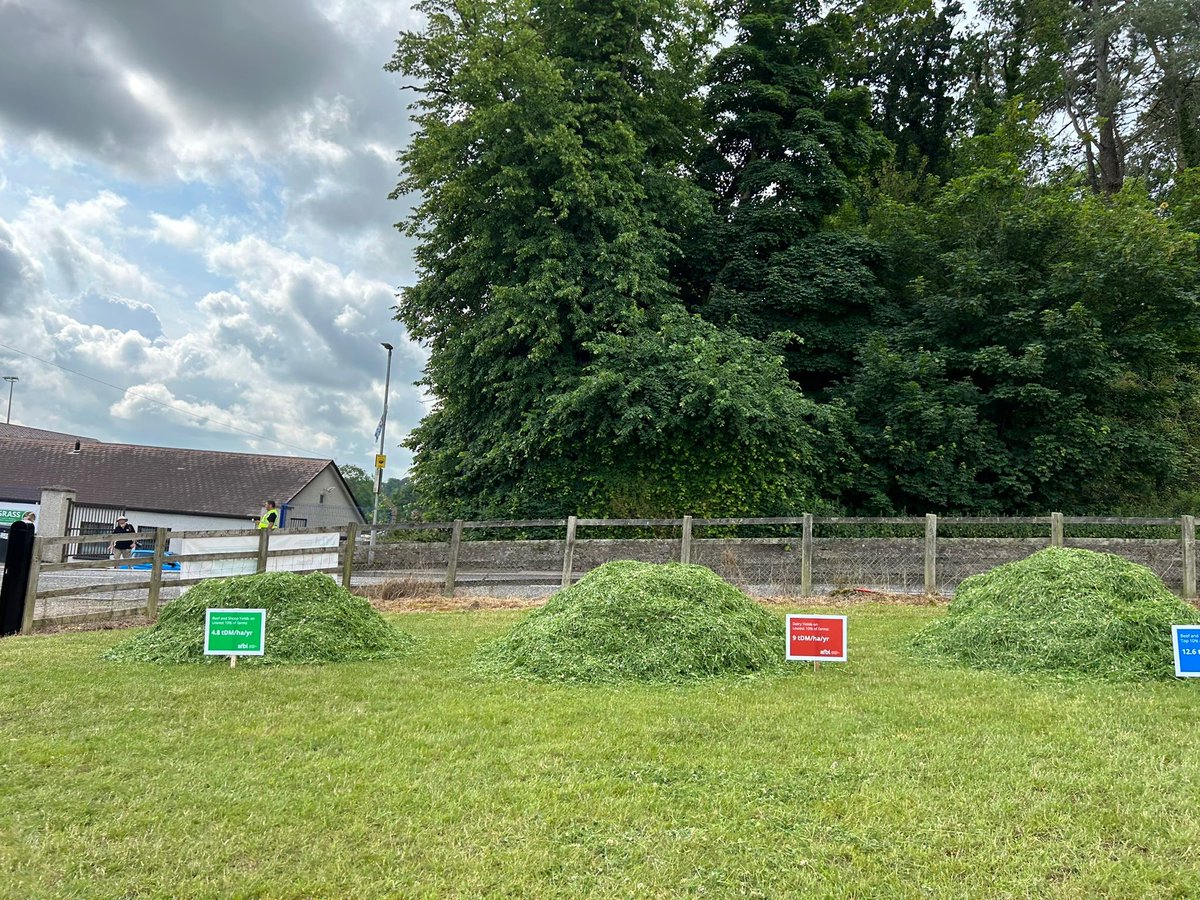 AFBI_NI's tweet photo. The tours are underway at the AFBI Grass Open Day #AFBIGrass23. At the first stop Professor Elizabeth Magowan talks about the 3 Key Pillars of Sustainability where Profit, Planet and People work in Harmony. #subtainability #grass #AFBIScience #AFBIResearch https://t.co/kFjX7Gv6JF