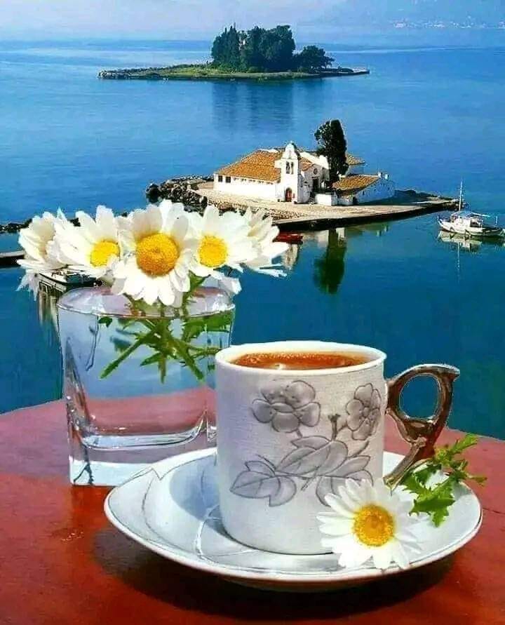 Alex Bryan (@alexbryna33520) on Twitter photo 