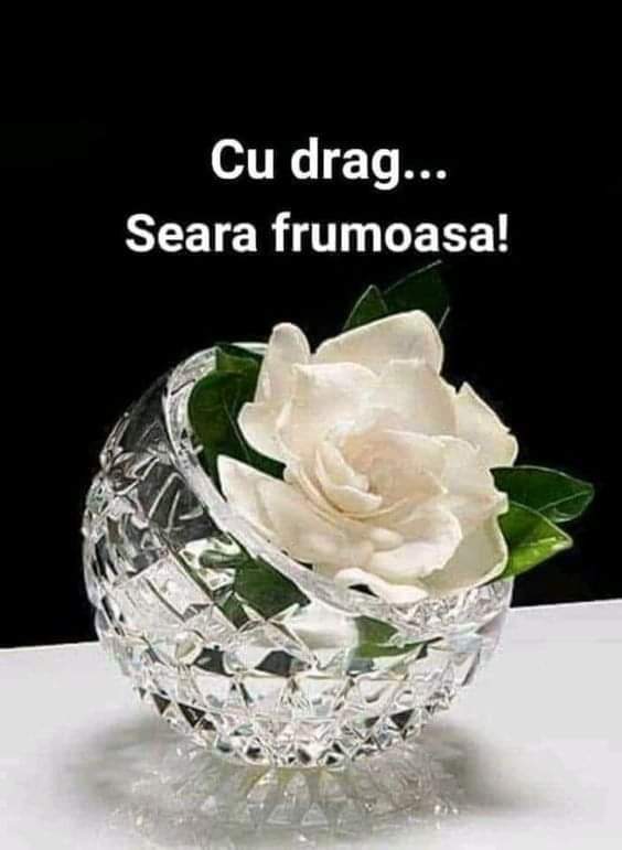 Alex Bryan (@alexbryna33520) on Twitter photo 