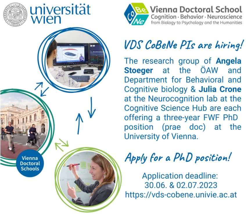 Vienna Doctoral School CoBeNe (@vds_cobene) on Twitter photo Wanna join us <a href="/VDS_CoBeNe/">Vienna Doctoral School CoBeNe</a> <a href="/univienna/">Universität Wien</a>?
Then check out these 2 open PhD positions at the Department of Behavioral and Cognitive Biology (PI: Angela Stoeger) and at the Neurocognition lab (PI: <a href="/JuliaSCrone/">Julia Sophia Crone</a>) and apply for a PhD in Vienna!
More info: vds-cobene.univie.ac.at/phd-calls/cobe… Wanna join us <a href="/VDS_CoBeNe/">Vienna Doctoral School CoBeNe</a> <a href="/univienna/">Universität Wien</a>?
Then check out these 2 open PhD positions at the Department of Behavioral and Cognitive Biology (PI: Angela Stoeger) and at the Neurocognition lab (PI: <a href="/JuliaSCrone/">Julia Sophia Crone</a>) and apply for a PhD in Vienna!
More info: vds-cobene.univie.ac.at/phd-calls/cobe…