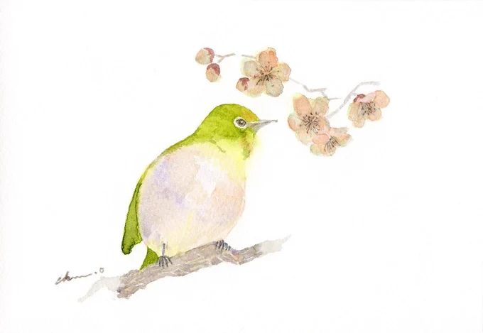 #見た人も無言でなにか日本をあげる #水彩画 #透明水彩 #アナログ絵 ①柊 ②大慈大悲 ③菊 ④メジロと梅