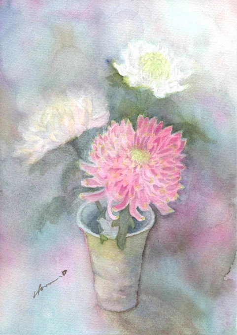 #見た人も無言でなにか日本をあげる #水彩画 #透明水彩 #アナログ絵 ①柊 ②大慈大悲 ③菊 ④メジロと梅