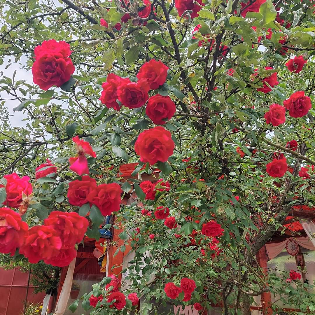 Alex Bryan (@alexbryna33520) on Twitter photo 