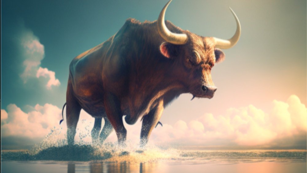 Breaking 🚨 : $29,000 #bitcoin