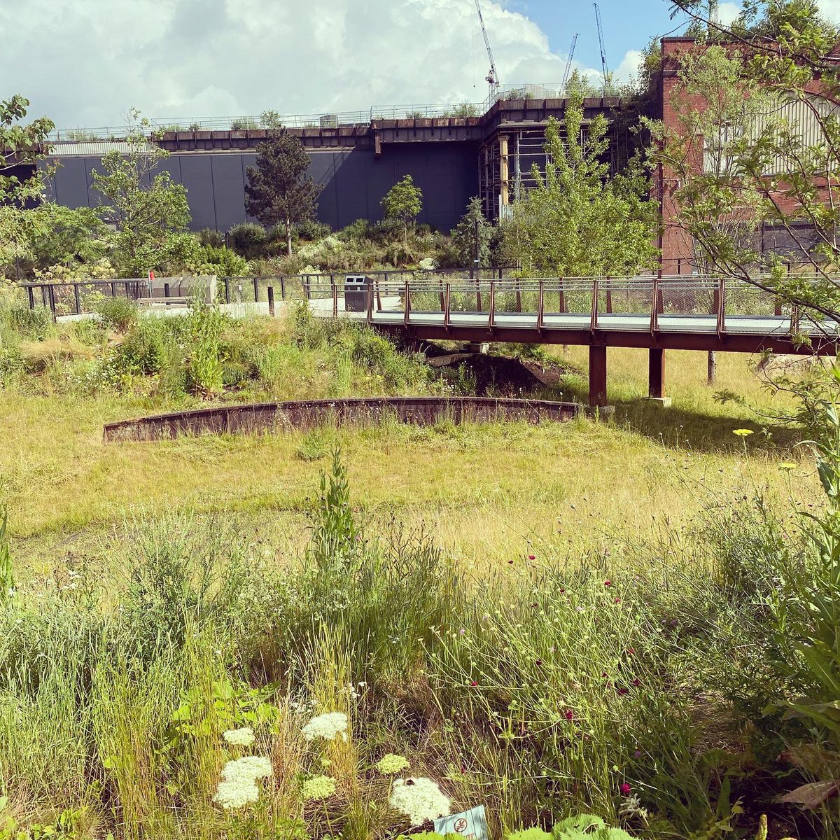 CW Studio (@cw_studio) on Twitter photo When Mayfield Park is down the road so you decide to have your team meeting there in the sunshine… Beautifully designed by <a href="/StudioEgretWest/">Studio Egret West</a> #MayfieldPark #CWStudioOnTourSortOf #Manchester #ResilientPlanting #BeesEverywhere When Mayfield Park is down the road so you decide to have your team meeting there in the sunshine… Beautifully designed by <a href="/StudioEgretWest/">Studio Egret West</a> #MayfieldPark #CWStudioOnTourSortOf #Manchester #ResilientPlanting #BeesEverywhere