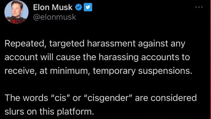 Musk è un omofobo nazista talmente invasato da decidere che chiunque utilizzi i termini 'cis' e 'cisgender' su twitter possa essere sospeso o bannato.