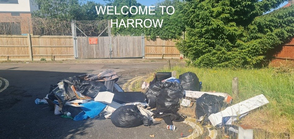 UK-Penguins tweet media