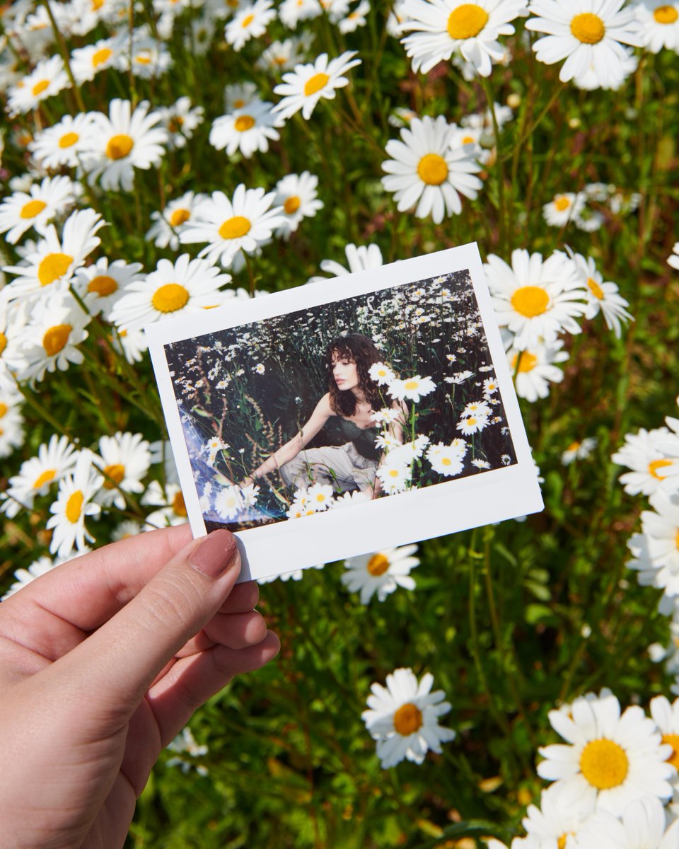 Superdry tweet media