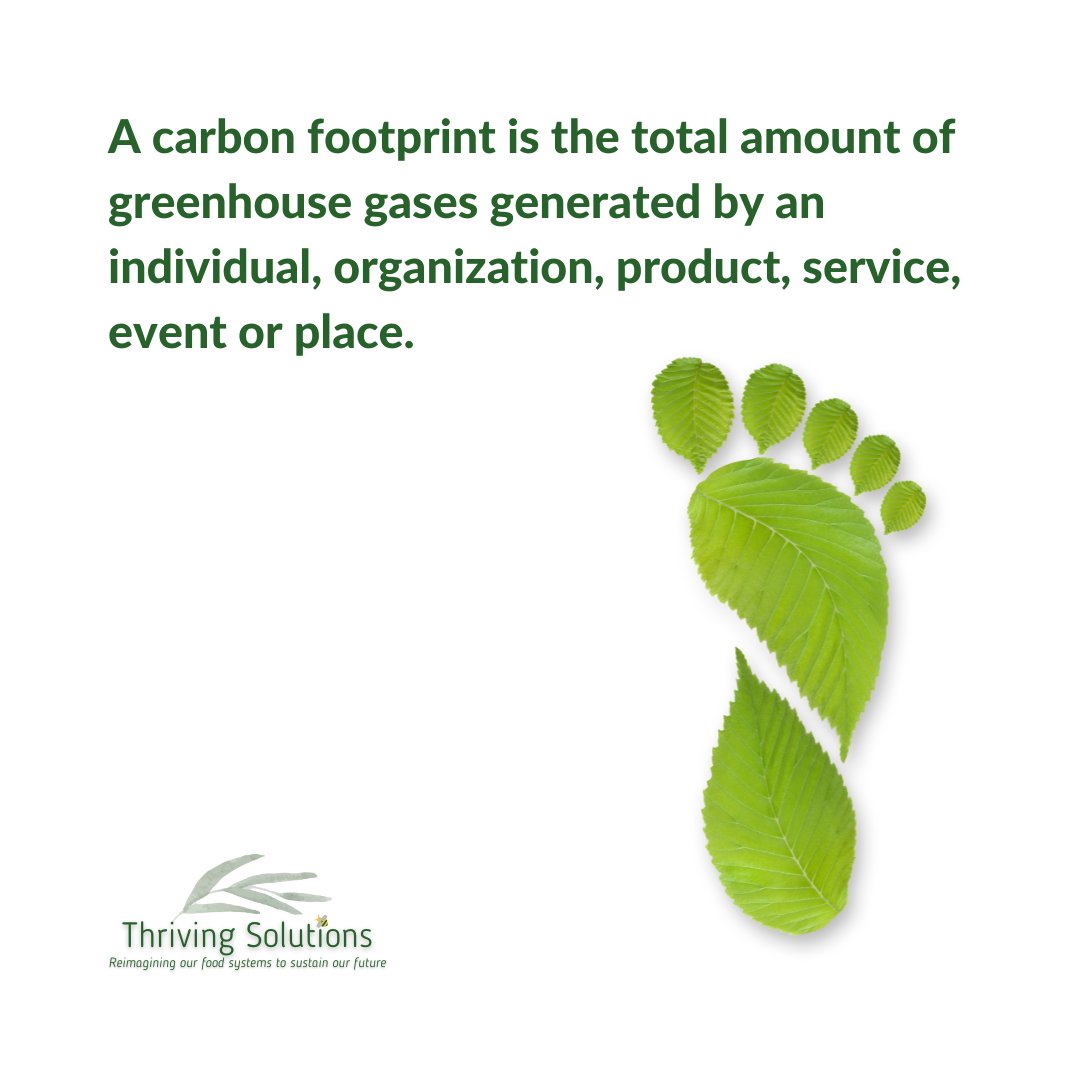 Thriving Solutions is dedicated to decarbonizing our economy, safeguarding biodiversity, advancing food-nutrition-water security.
#carbonfootprint #netzero #climatechange #climateaction