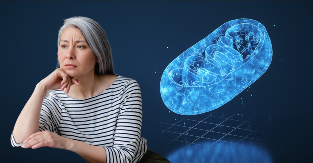 Clock Foundation (@clockfoundation) on Twitter photo Chronic stress accelerates aging, but how? A new study shows stress triggers increased cellular energy consumption or "hypermetabolism." This could pave the way for a new class of treatments targeting stress at the cellular level. ow.ly/il1g50OT8l0
<a href="/MitoPsychoBio/">Martin Picard</a> Chronic stress accelerates aging, but how? A new study shows stress triggers increased cellular energy consumption or "hypermetabolism." This could pave the way for a new class of treatments targeting stress at the cellular level. ow.ly/il1g50OT8l0
<a href="/MitoPsychoBio/">Martin Picard</a>