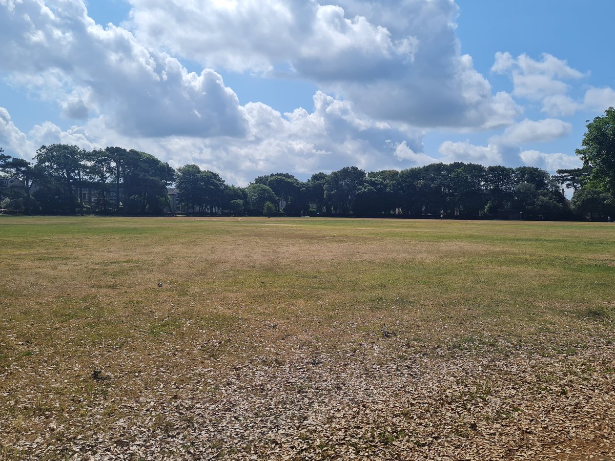 TheMiddleStump's tweet photo. Hard to believe this place regularly hosted first class cricket...the much missed Clarence Park, Weston-super-Mare. https://t.co/RBKPWovgjO