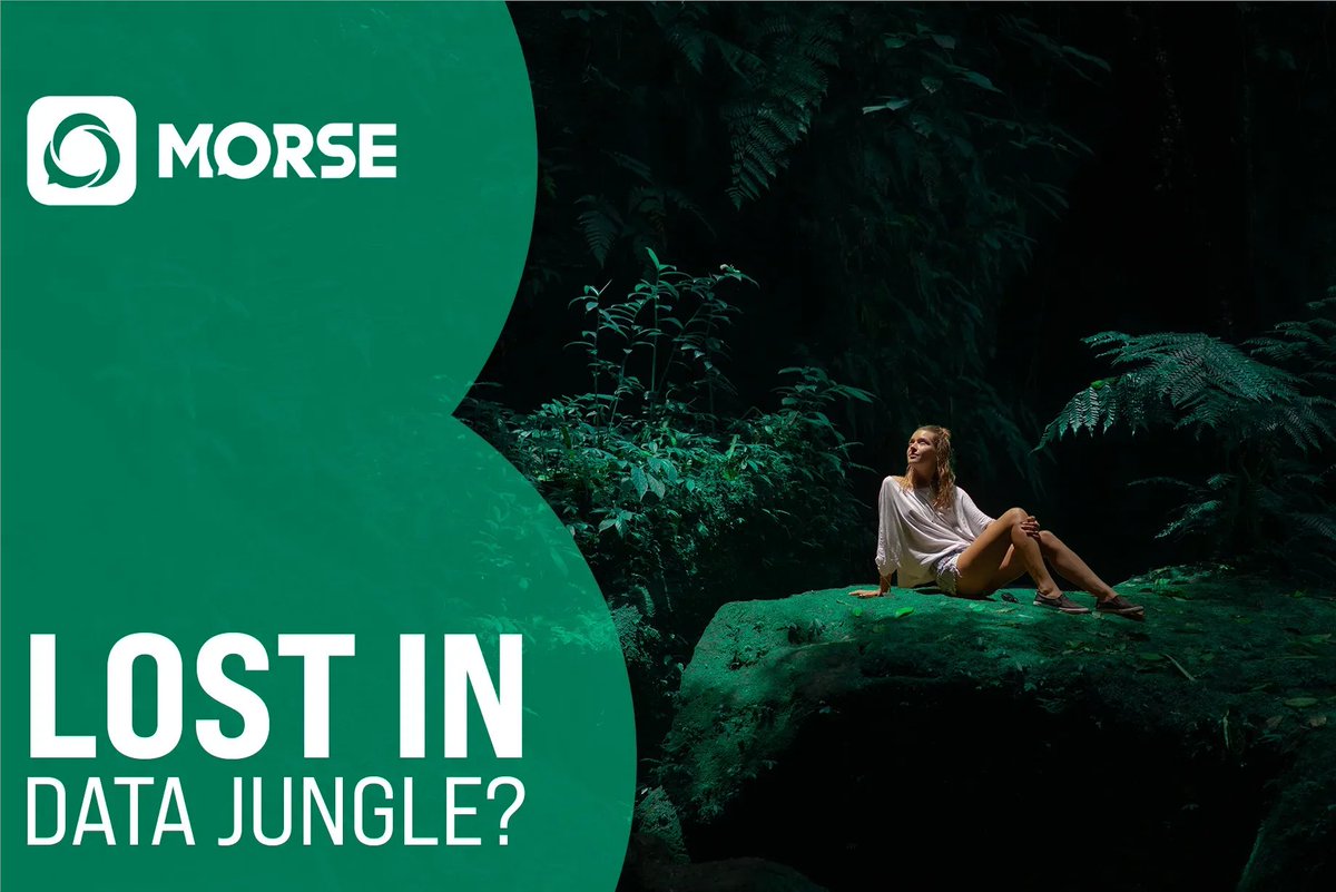 morse_chat's tweet image. Get ready for an epic adventure through the wild data jungle! 🌴🔍 This Wednesday, join us as we navigate the twists and turns of the digital world.  Let&apos;s explore, protect, and have a wild ride! 🚀🔒 #DataExplorers #PrivacyJungleSafari https:/morse-chat.com