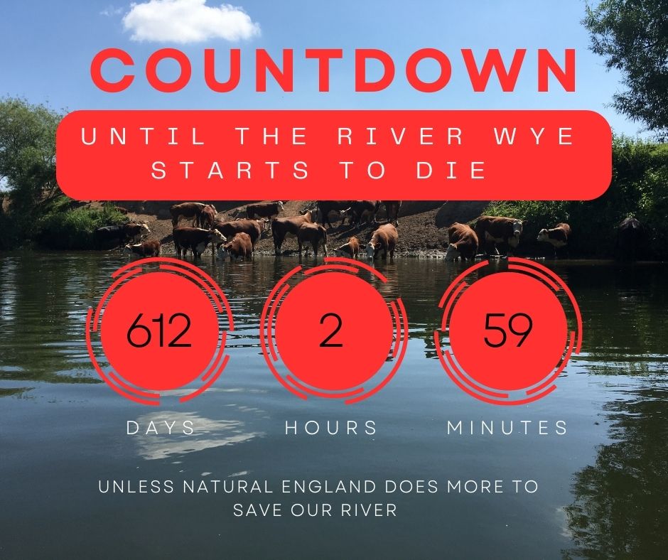 Time is running out..  RT to save our river and read our response to @naturalengland shocking report downgrading the health of the River Wye here - rb.gy/tywzb
.
.
#cpre #RescueBritainsRivers #savethewye #riveraction #cpreherefordshire #herefordshire #riverwye