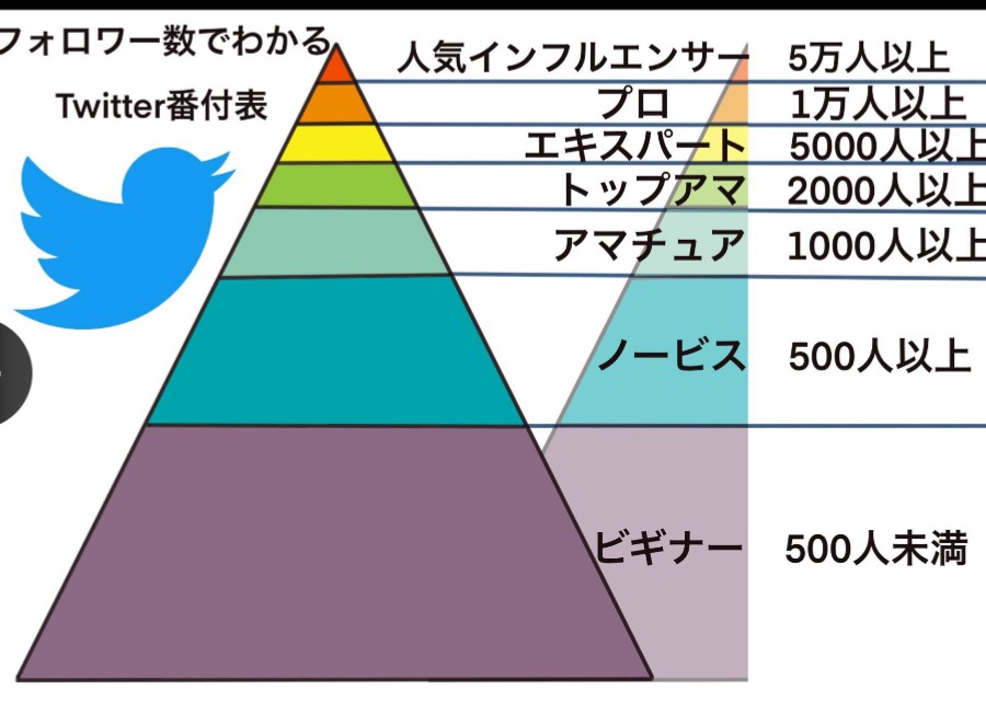 とりあえずノービスまでいきたいですね