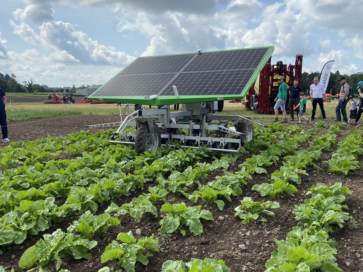 teagasc's tweet photo. SMART weeding technology is advancing rapidly and robotic and camera-guided systems are on display today at #crops2023 which are of particular interest to vegetable producers operating conventional and organic production systems https://t.co/2Oh9nh0WKi