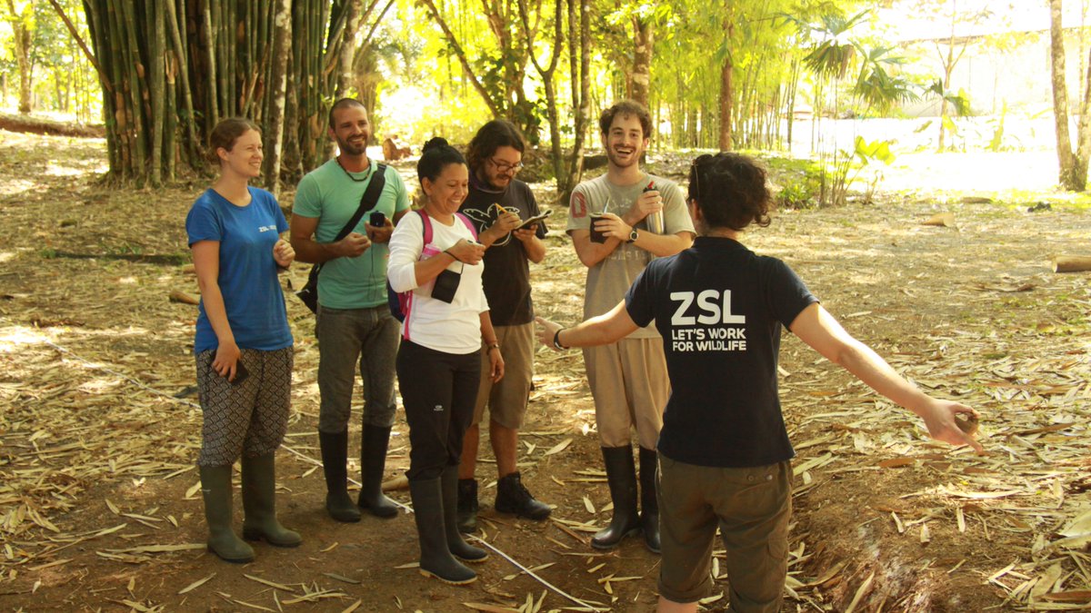 Could you be part of our next EDGE Fellowship cohort in Latin America?

The call for applications is open, but you need to be quick, they close on the 16th July!

For full details, eligibility requirements and how to apply please visit our website edgeofexistence.org/become-a-fello…