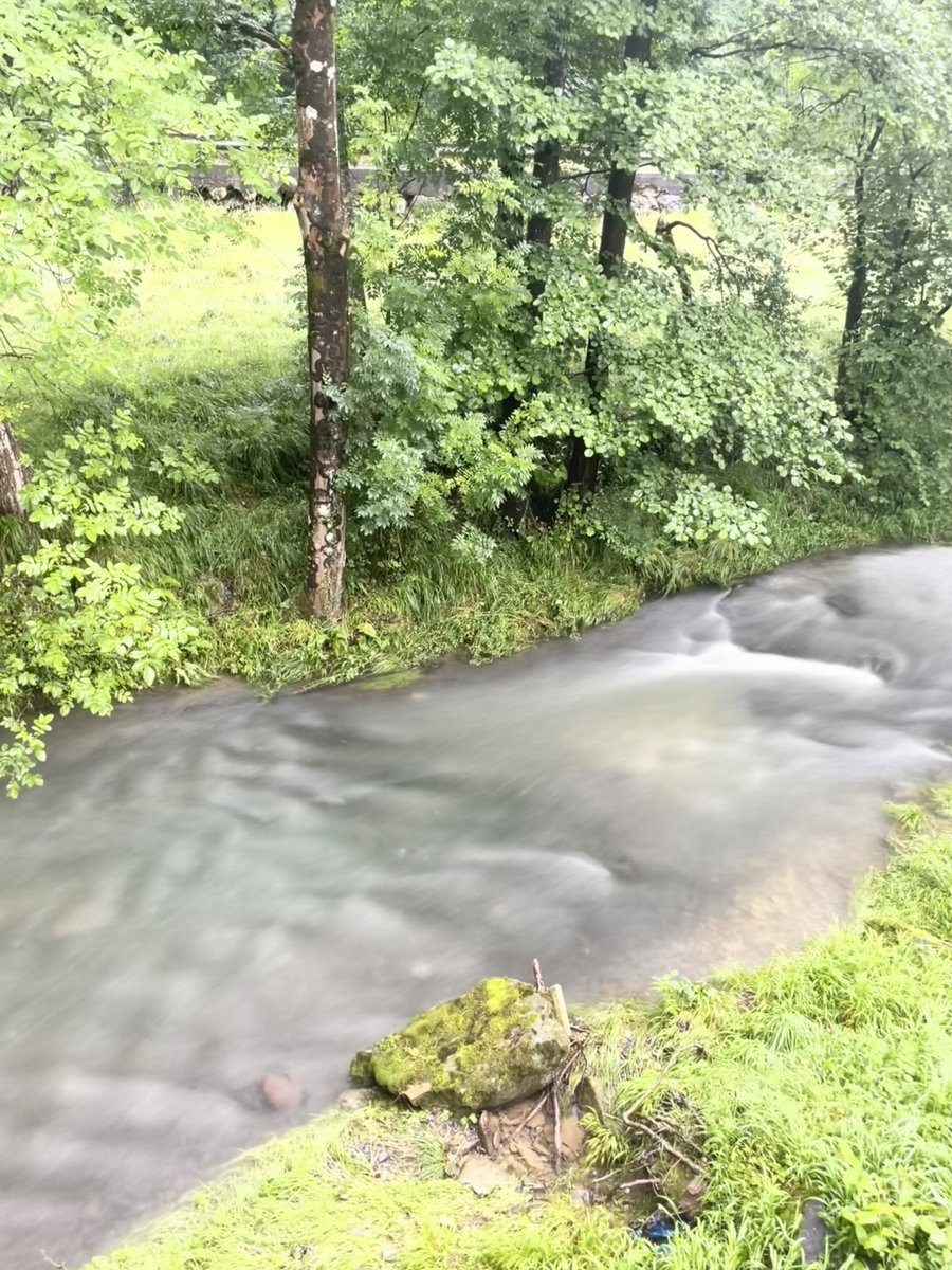 🌿ATXONDOKO BIDE BERDEA
🌿VIA VERDE DE ATXONDO
🏁TOPEKOA-APATAMONASTERIO🏁