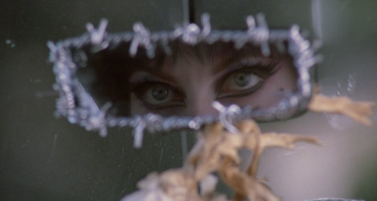 deathndhorror's tweet image. Elvira's car is a dream 🕷️🕸️🖤