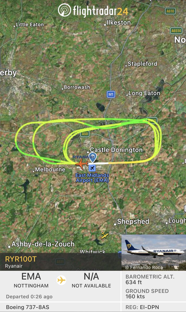 Nicholas Shanks tweet media