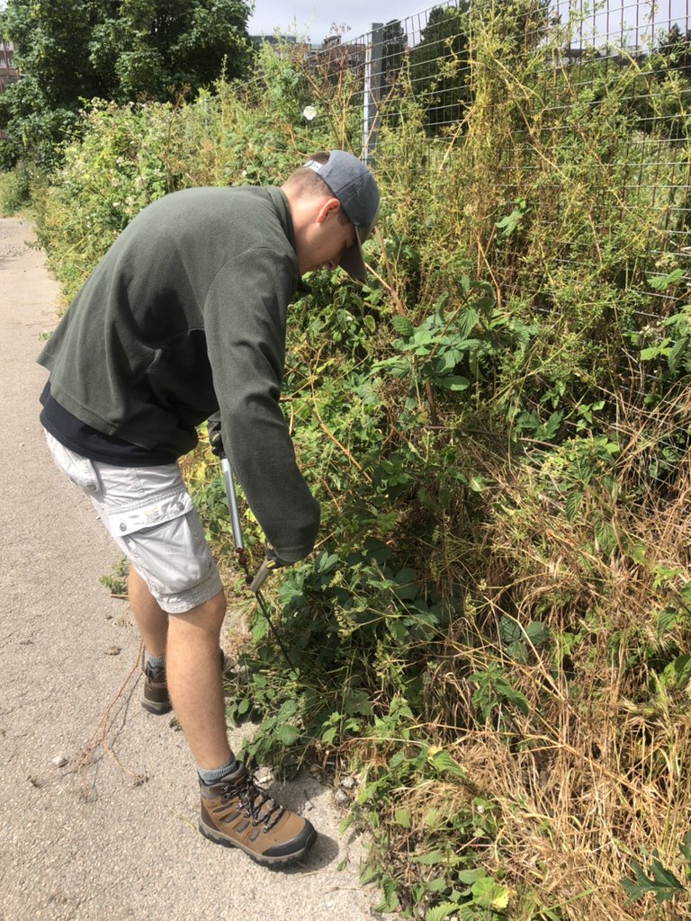 L6th House Prefects are hard at work clearing pathways @BPTpermaculture @ediblebrighton @bedesnews @BedesHead #MakeADifferenceDay