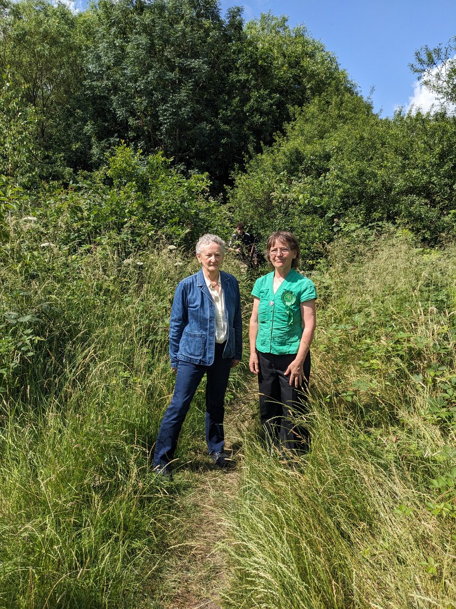 GE candidate for Uxbridge & S Ruislip Sarah Green showing what #HS2 plans to cut down this week. 'Just brambles & weeds', they say, ignoring young oak trees, fruit trees & lots of lovely greenery that supports birds, insects & small mammals. @HillingdonGreen It's time to @stophs2