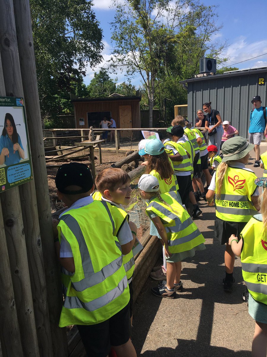 Mrs Stone tweet media