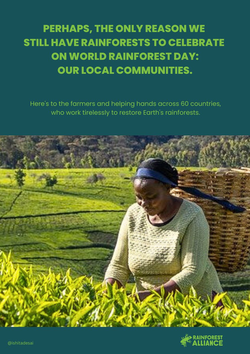 Today's <a href="/OneMinuteBriefs/">One Minute Briefs ⏱️</a> 
Create posters with <a href="/RnfrstAlliance/">Rainforest Alliance</a> to celebrate the local communities who care for the Earth’s precious rainforests ahead of tomorrow’s #WorldRainforestDay