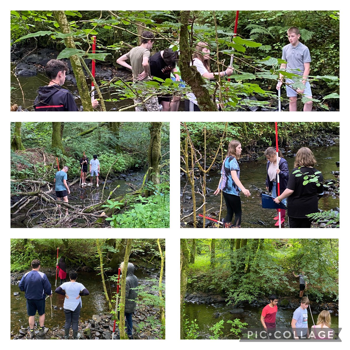 Year 10 Geography field work is well under way at Gelliwernen woods
#beambitious #beinformed ❤️💛💙