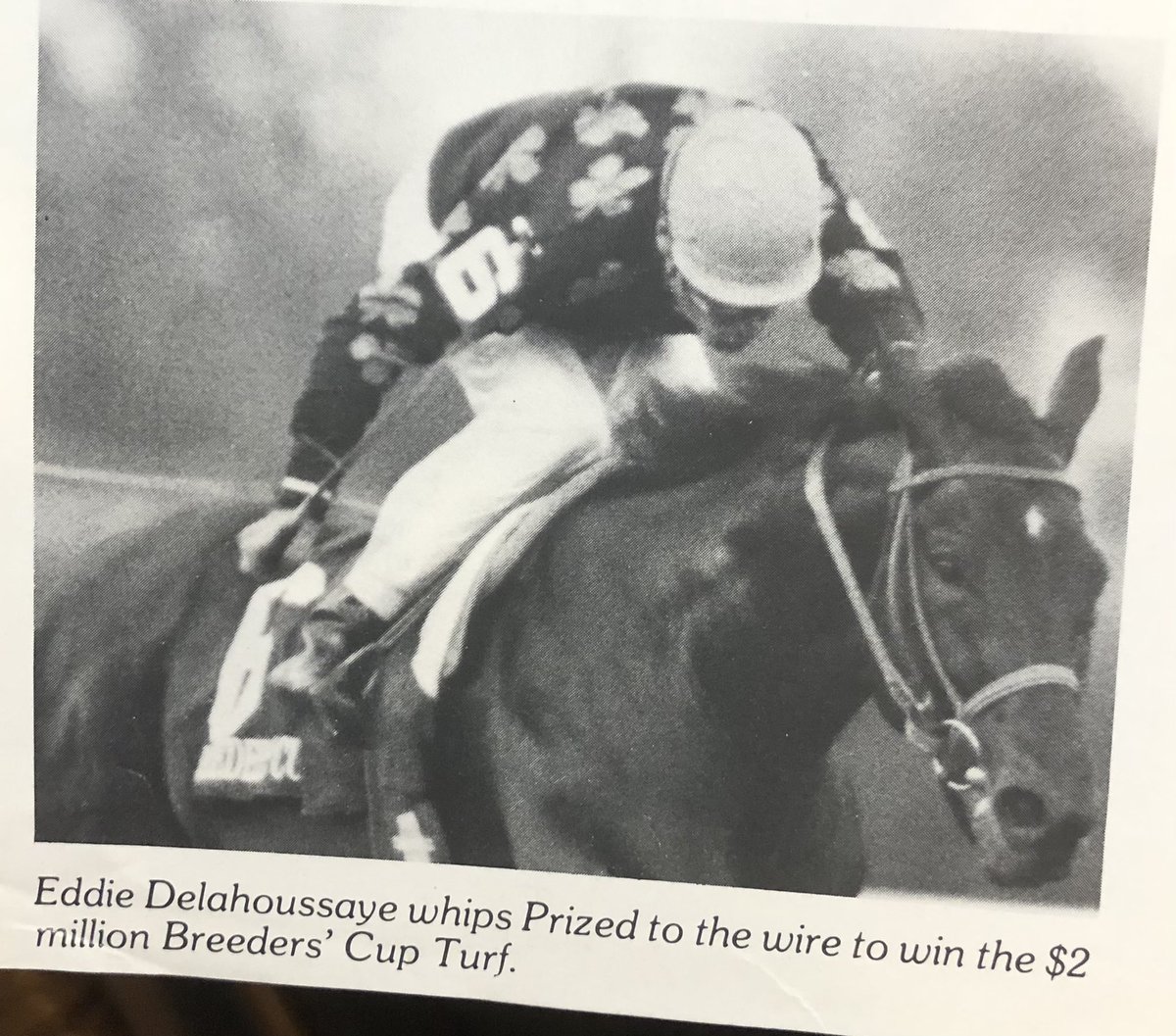 JackpotNick's tweet photo. Louisiana’s finest jockey ever #EddieDelahoussaye working his saddle magic on #Prized in the BC Turf one year. https://t.co/TqsH2vyGrE