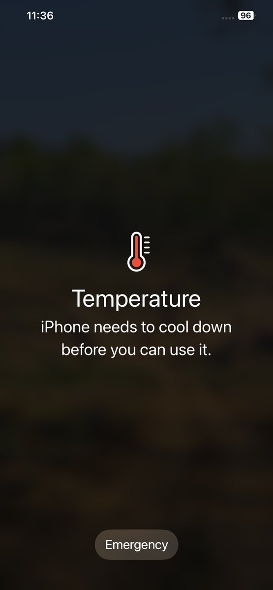 Dr Gulrez Sheikh on Twitter "It’s so hot and humid that this is