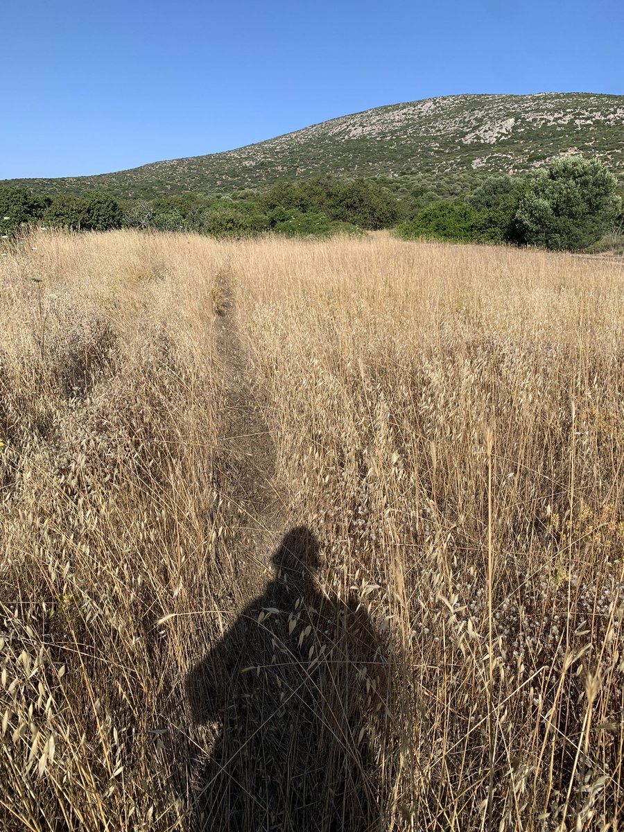 brennawalks's tweet image. Go be outstanding in your field they said #archaeology #badjokes