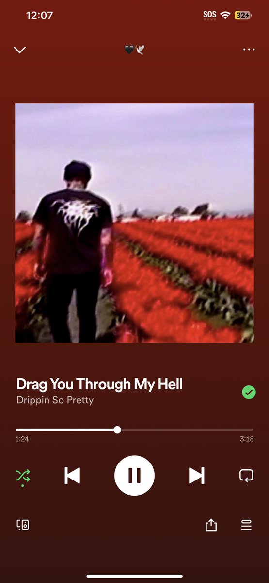 I’m soooo in loveeee with this song!😩😩🖤 ⁦@drippinsopretty⁩ #dragyouthroughmyhell