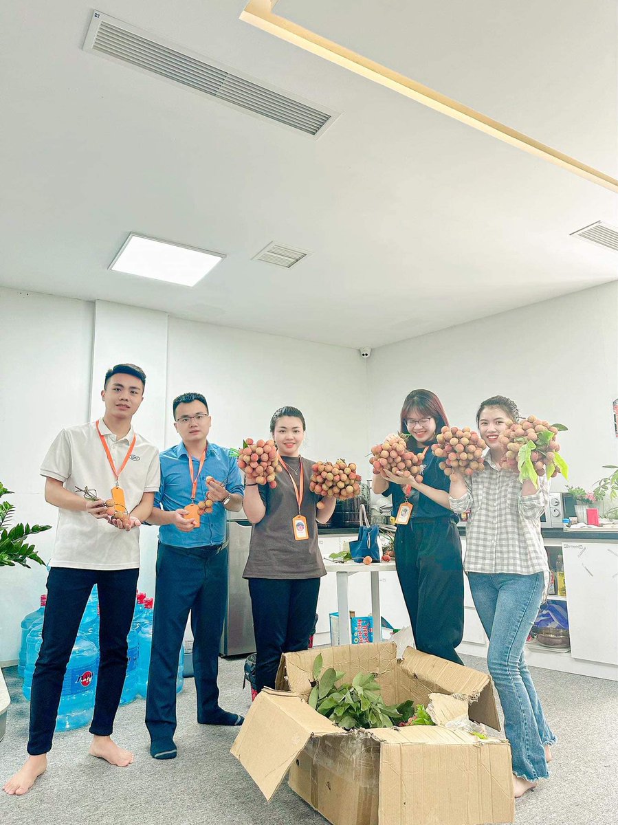 KiaisoftJapan's tweet photo. Kiaiでは、社員が実家に訪れたら、ソンラ省のプラムやハイズオン省のライチなど、自分の実家の名産を会社に持ってきます。そういうことから、やはりKiaiの「Sharing」精神が明らかに現れます。
#オフショア開発　#夏 https://t.co/D9gN7vCu3k