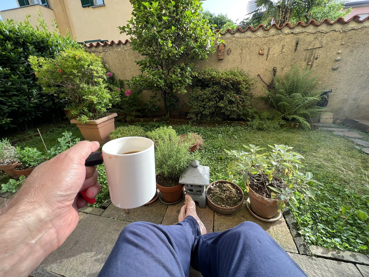 It’s 8am and I’m having the ##firstcoffeeoftheday with no rush in the garden 

Yes, this week I’m on staycation and I feel goooood

Have a great day out there!