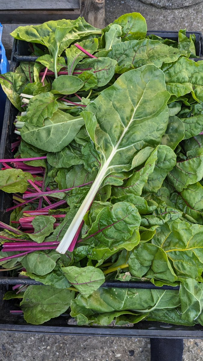 Jack Scott tweet media